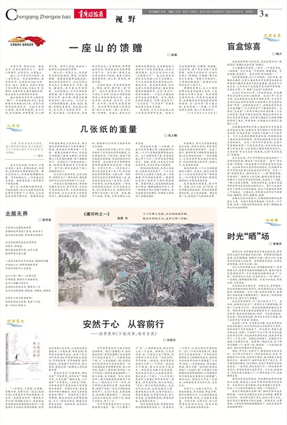 重庆政协报视野