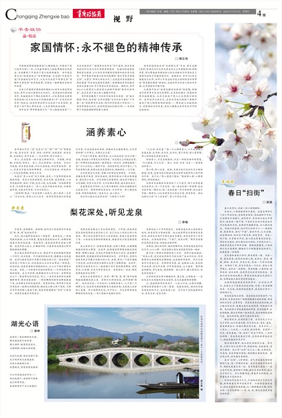 重庆政协报视野