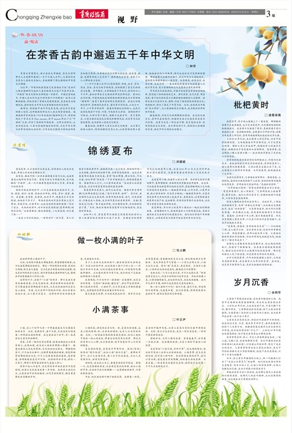 重庆政协报视野
